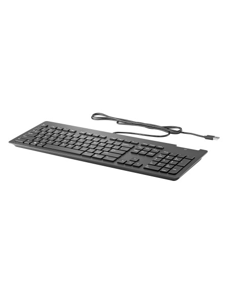 HP Slim v2 USB Wired Keyboard - Smartcard - Black - US/RUS